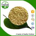 High Quality Compound Fertilizer NPK 15-5-20